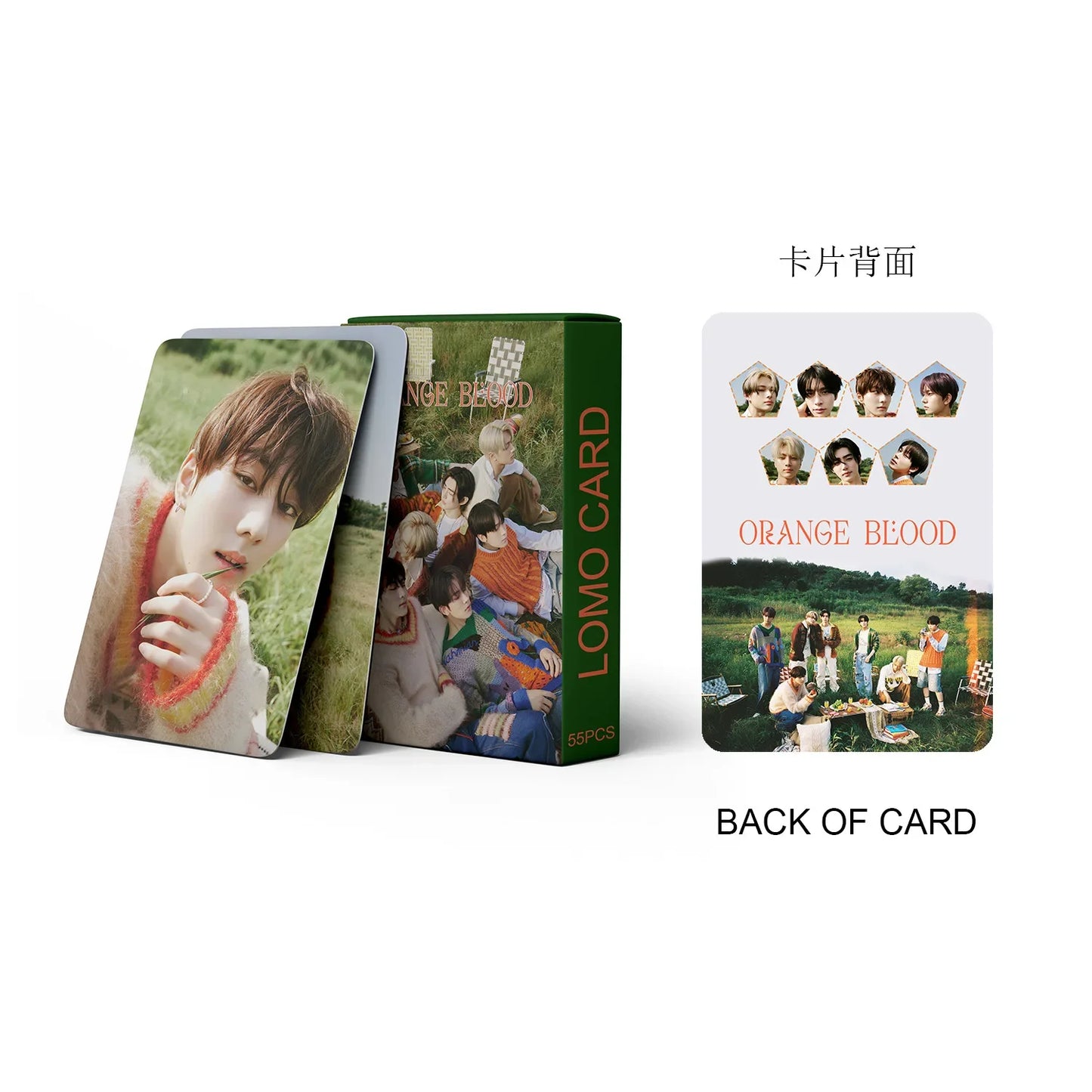 Photocards ENHYPEN - Paquet de 55 pièces (Solo & Groupe)